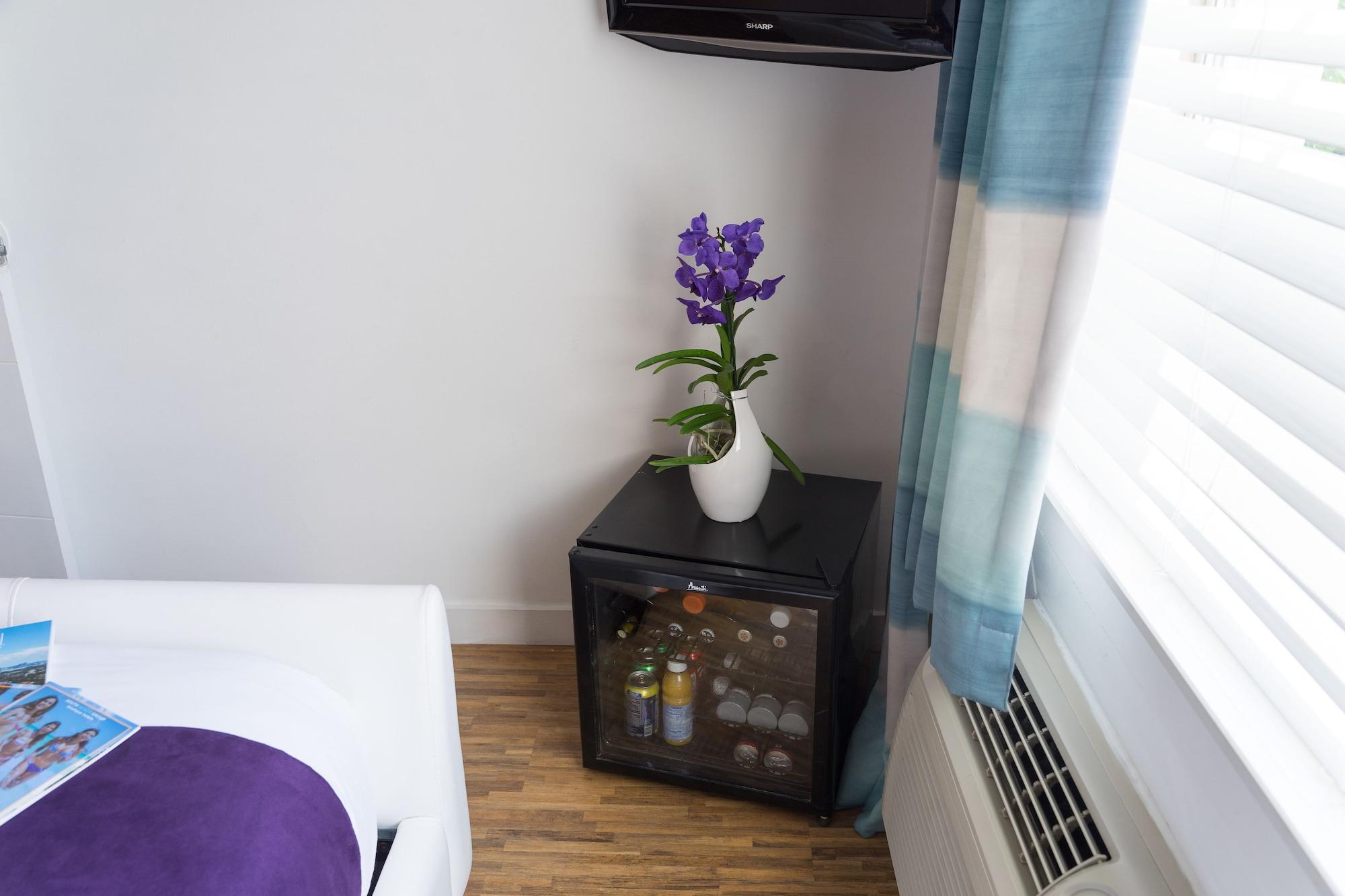 Shelley Hotel Miami Beach Ngoại thất bức ảnh